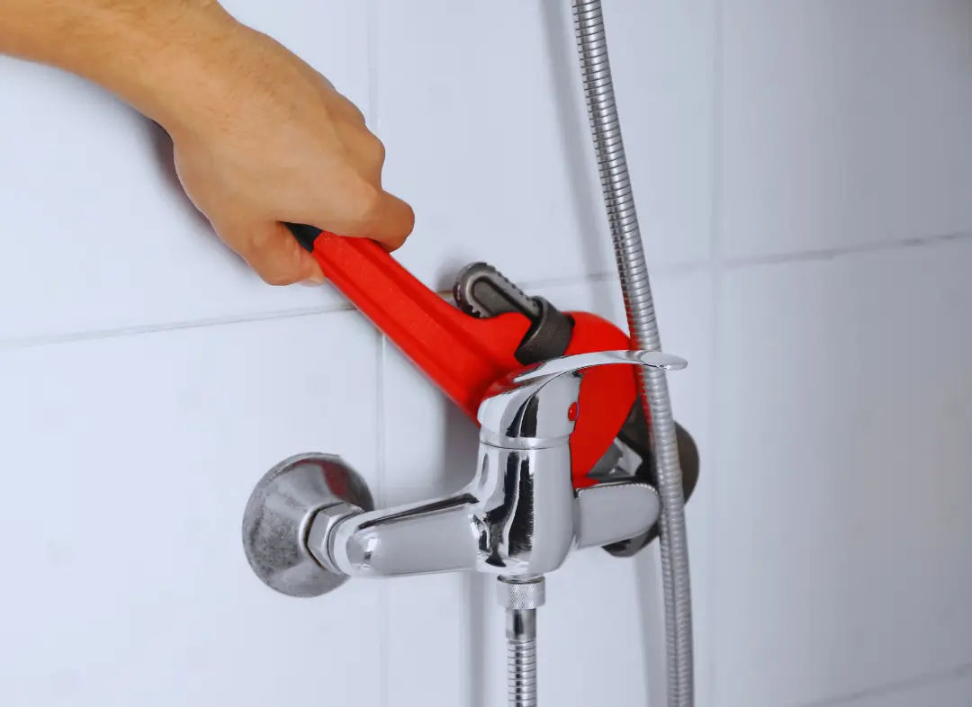 Mitigeur Thermostatique douche Carbonne