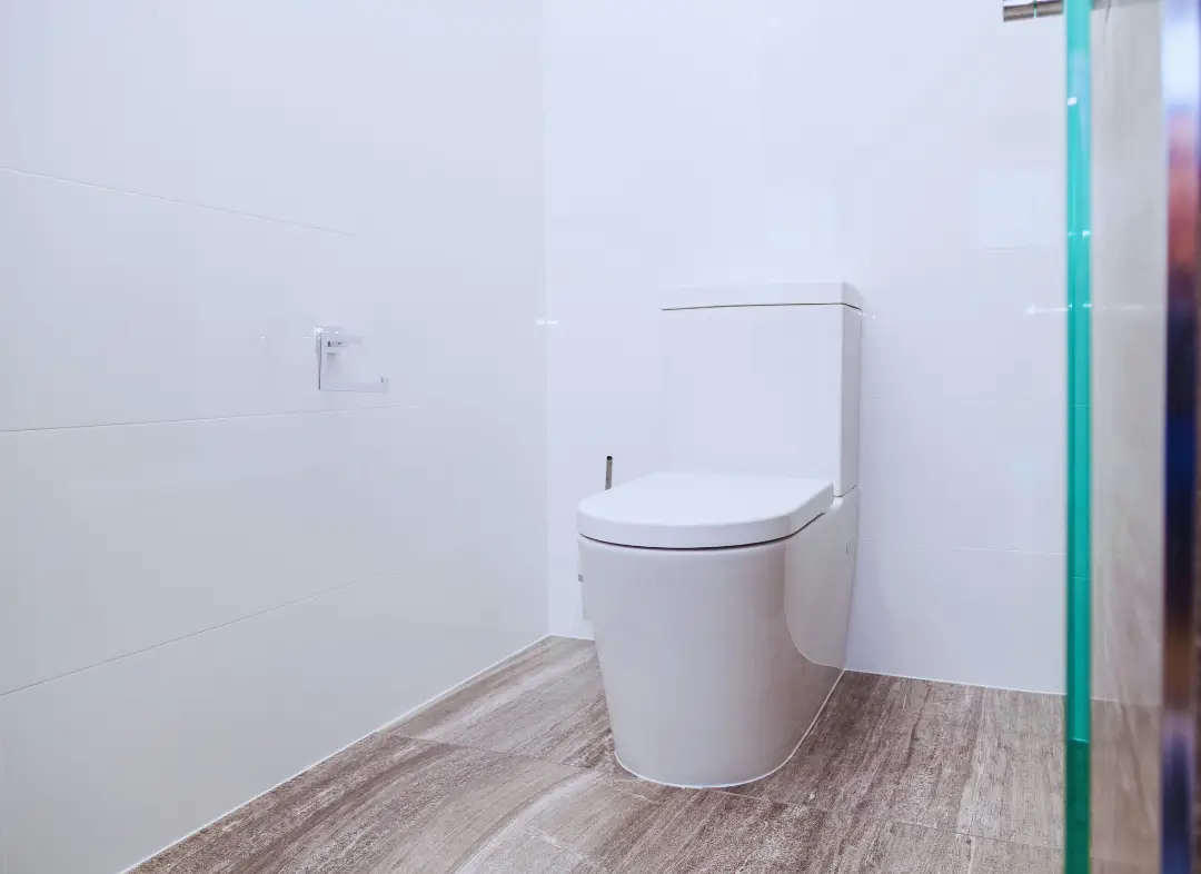 Remplacement de wc Carbonne