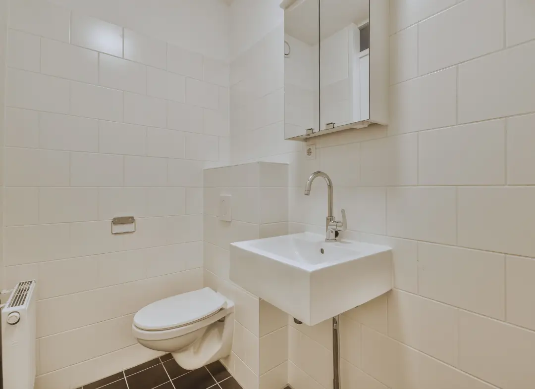 Pose WC Suspendu Carbonne